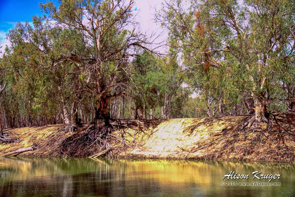 Darling River Pooncarrie 2