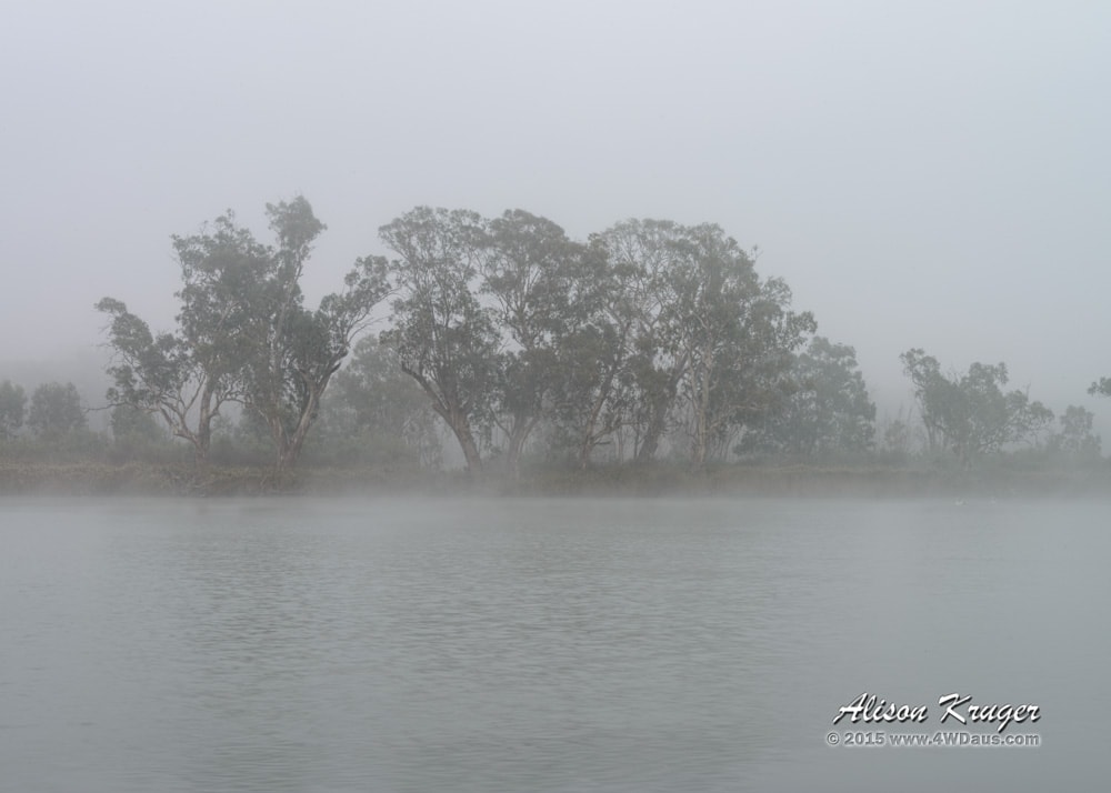 Big Bend Fog Murray River
