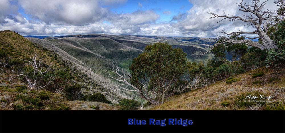 Blue-Rag-Rdige-View-Pano