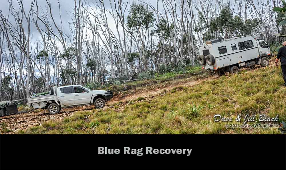 Blue-Rag-Recovery