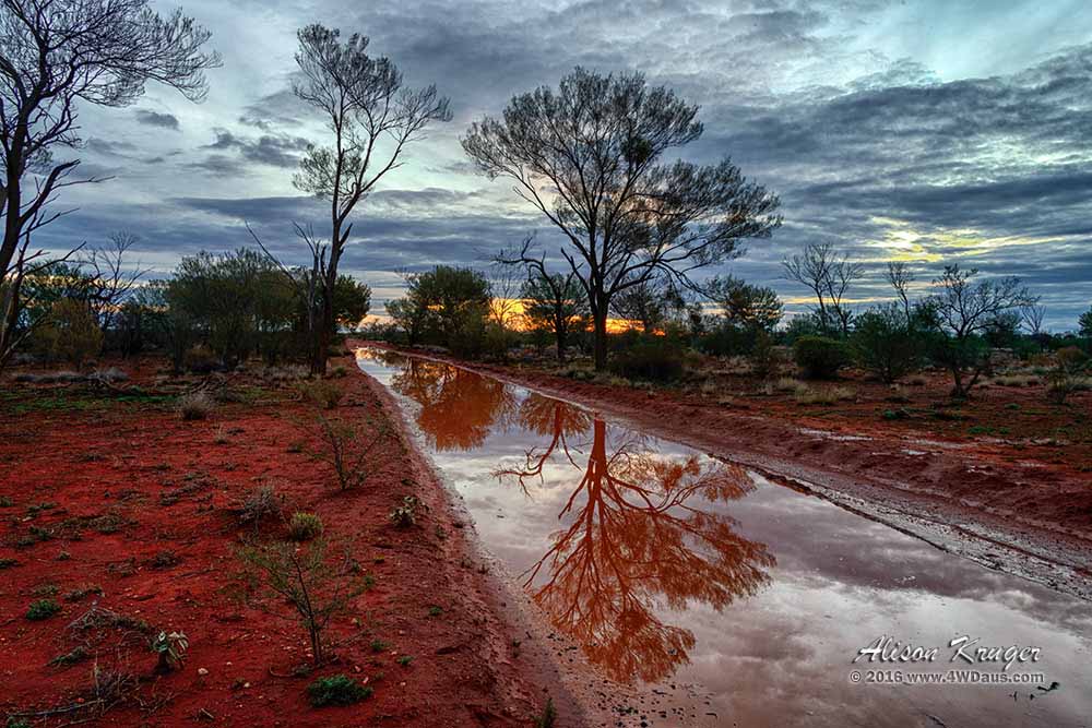 Water-on-the-Anne-Beadell-Highway-Sunset
