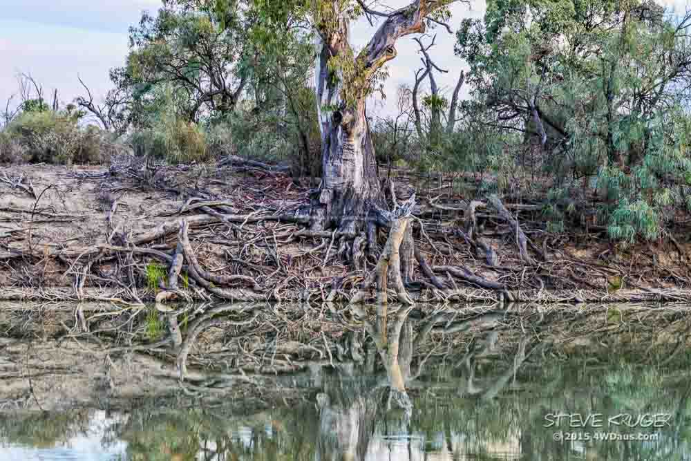 Chowilla_Game_Reserve_Camp_22_Steve-4