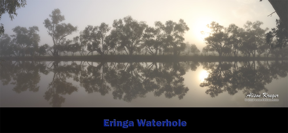 Eringa-Waterhole-Pano