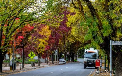 Hahndorf – the Colours of Autumn