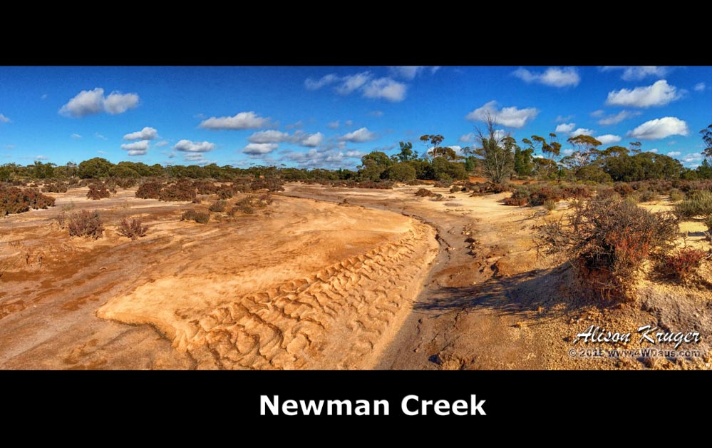 Newman Creek Pano