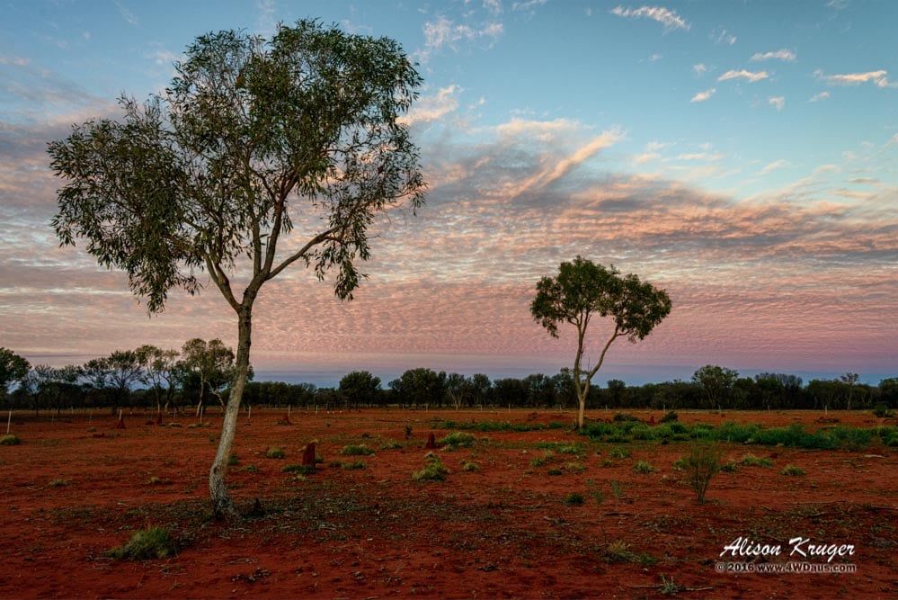 Sunrise Near Alice Springs