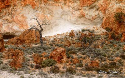 The Terraces Western Australia – Stunning
