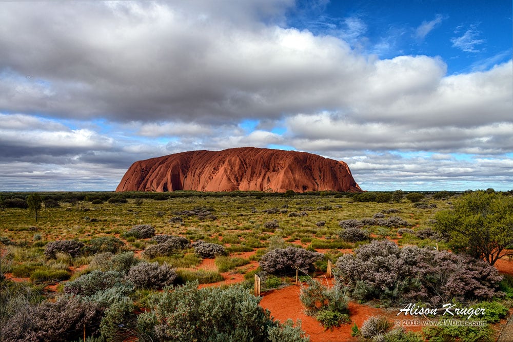 Uluru-Stunning
