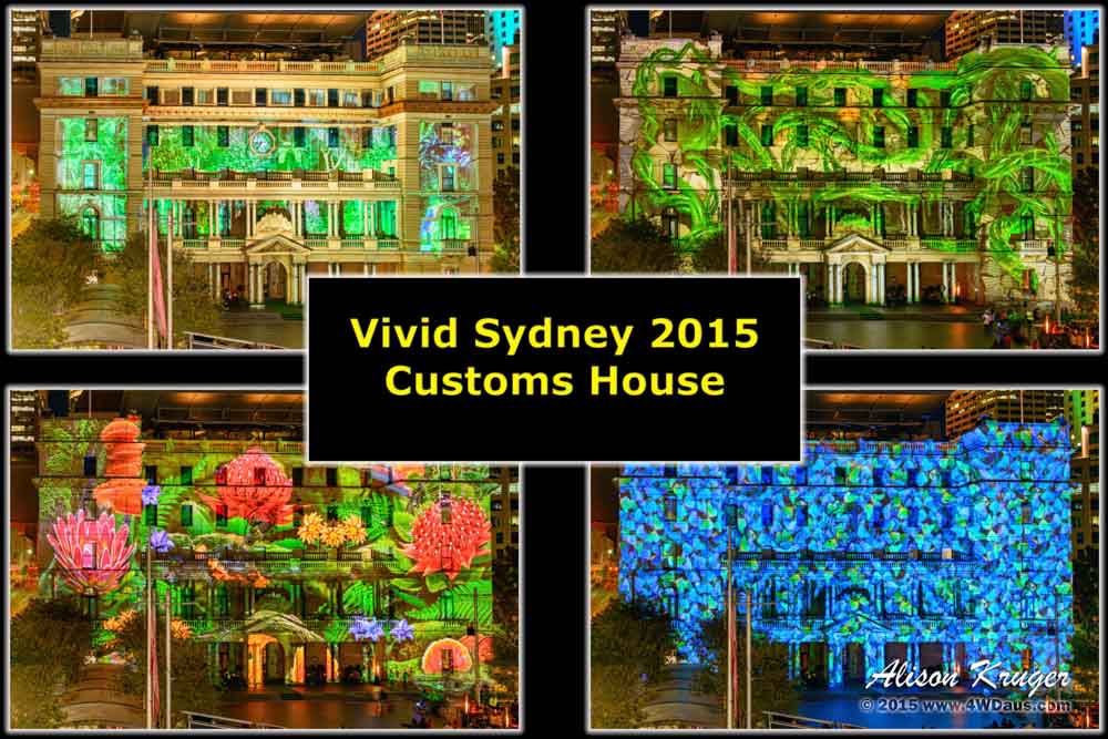 Vivid Sydney 2015 04