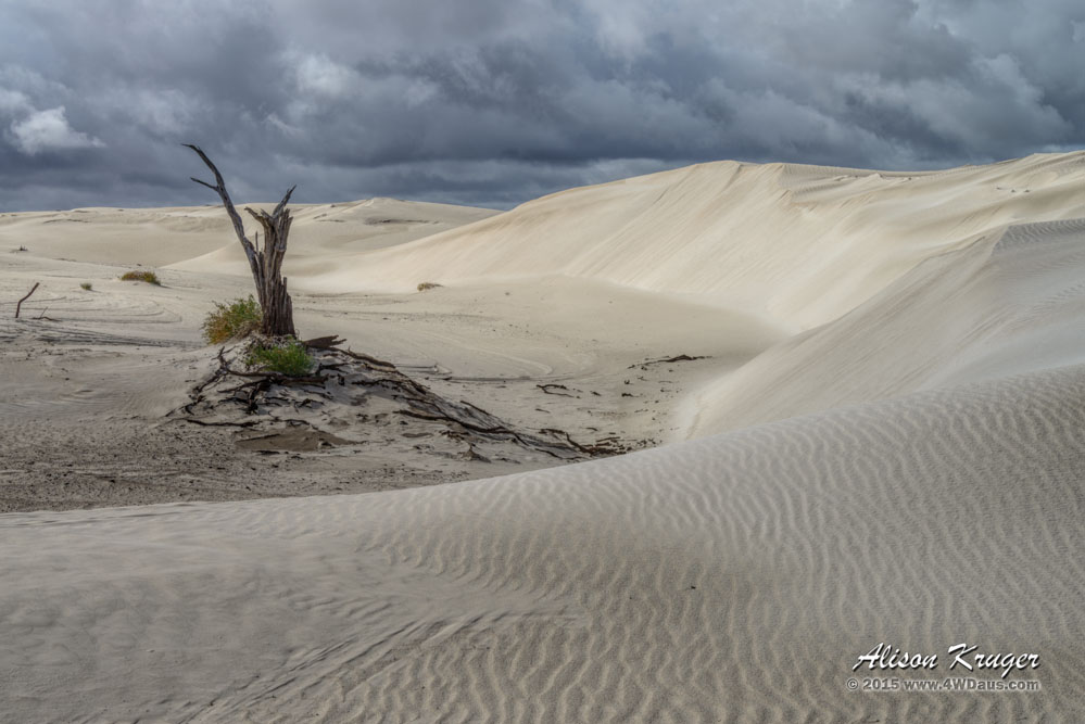 White Sands of Yanerbie Stump
