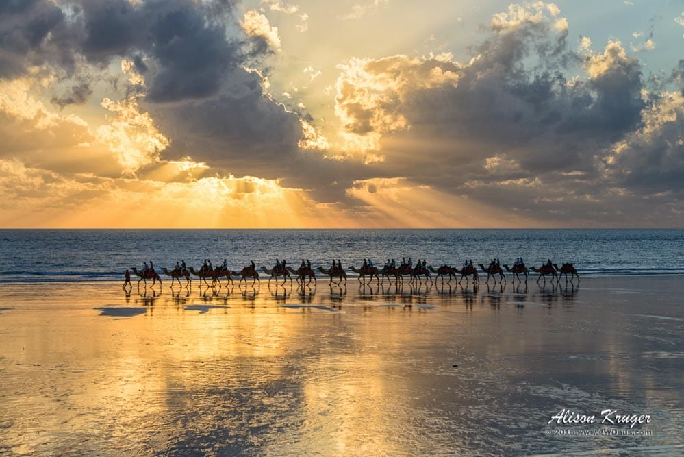 Cable Beach Camels Sunset
