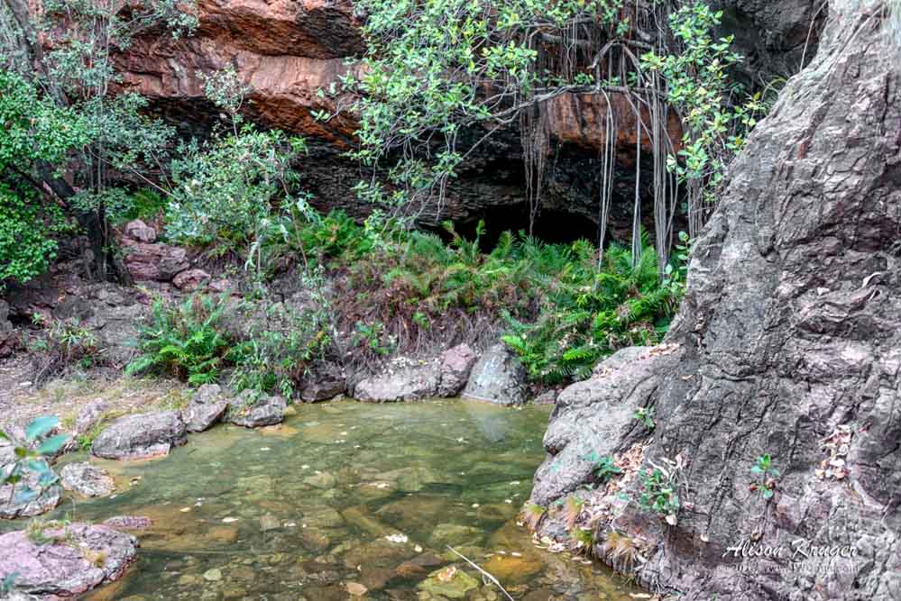Cave Spring Entrance