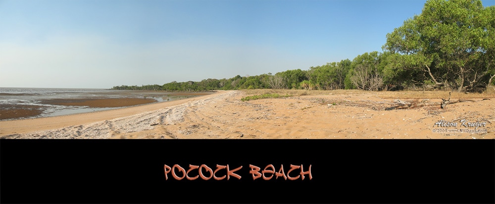 Pocock Beach