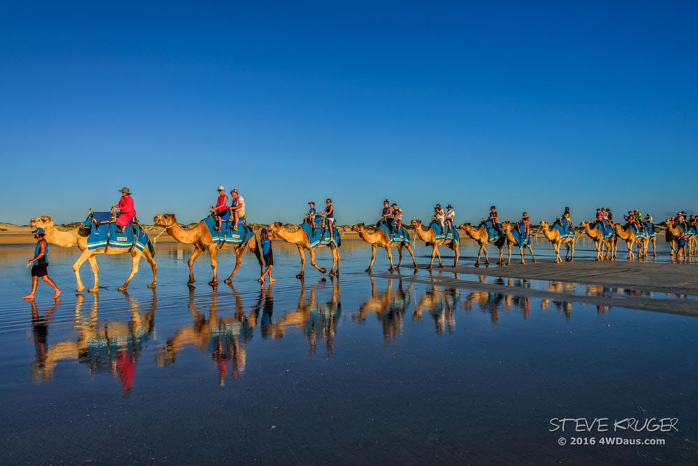 camels at sunset on Cable Beach Broome NT