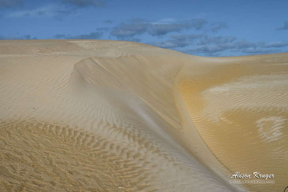 Dunes in Painted Desert Nambung NP