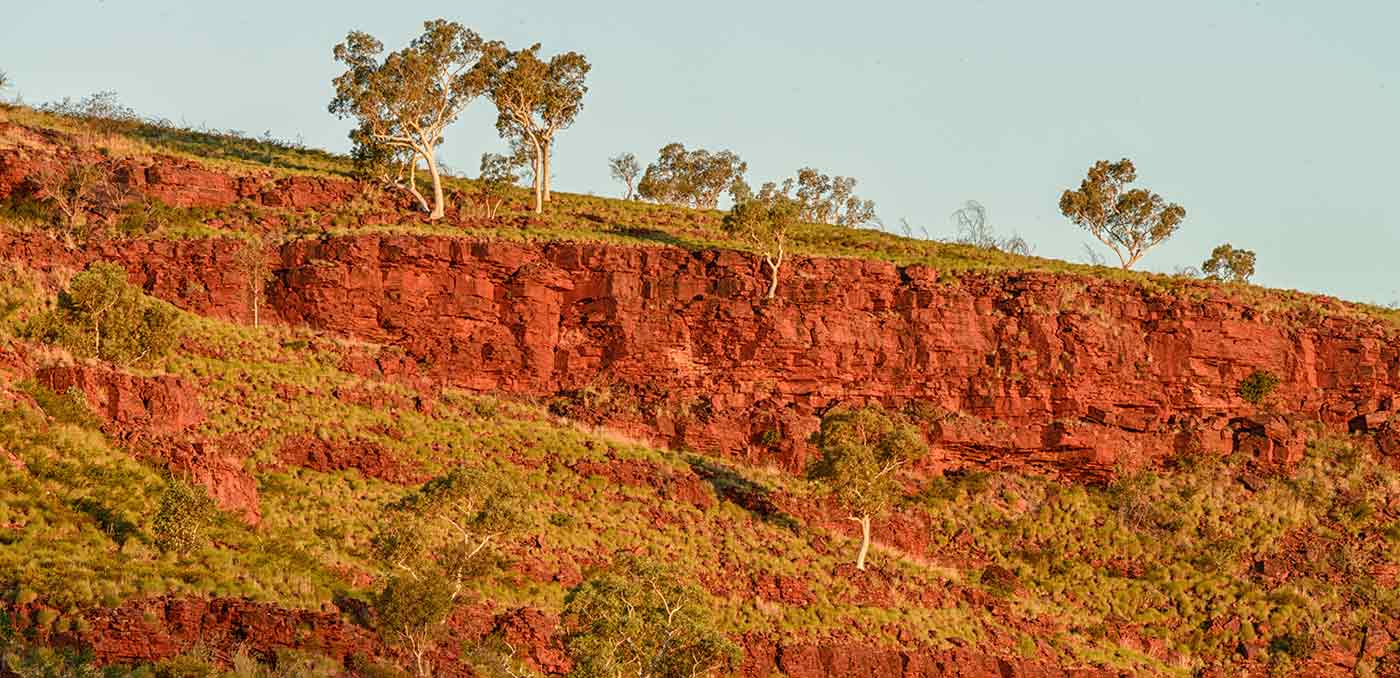 snappy-gums-in-the-red-cliffs-bgrd