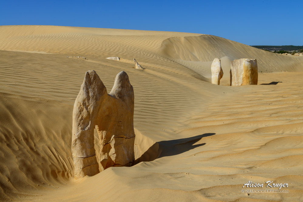 Painted Desert Camel Shaped Pinnacle